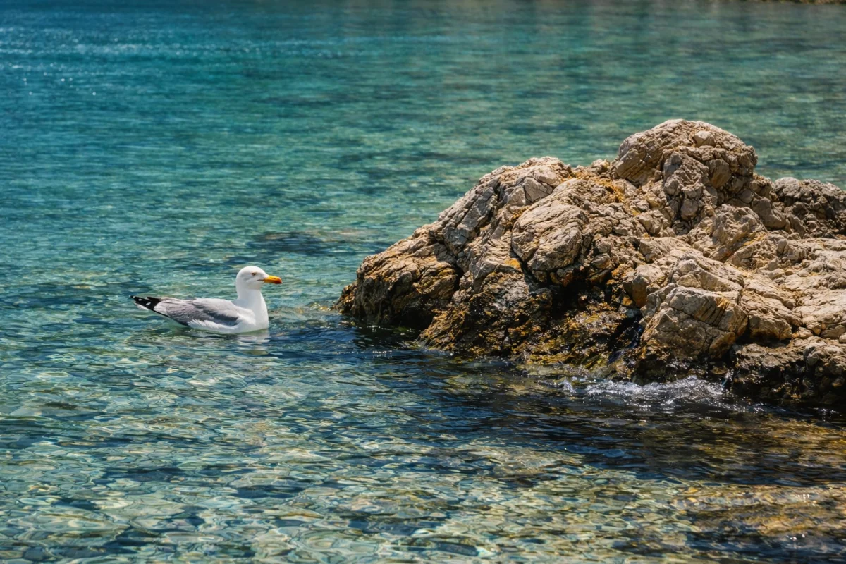 Pserimos - Dodecanese Islands destination guide