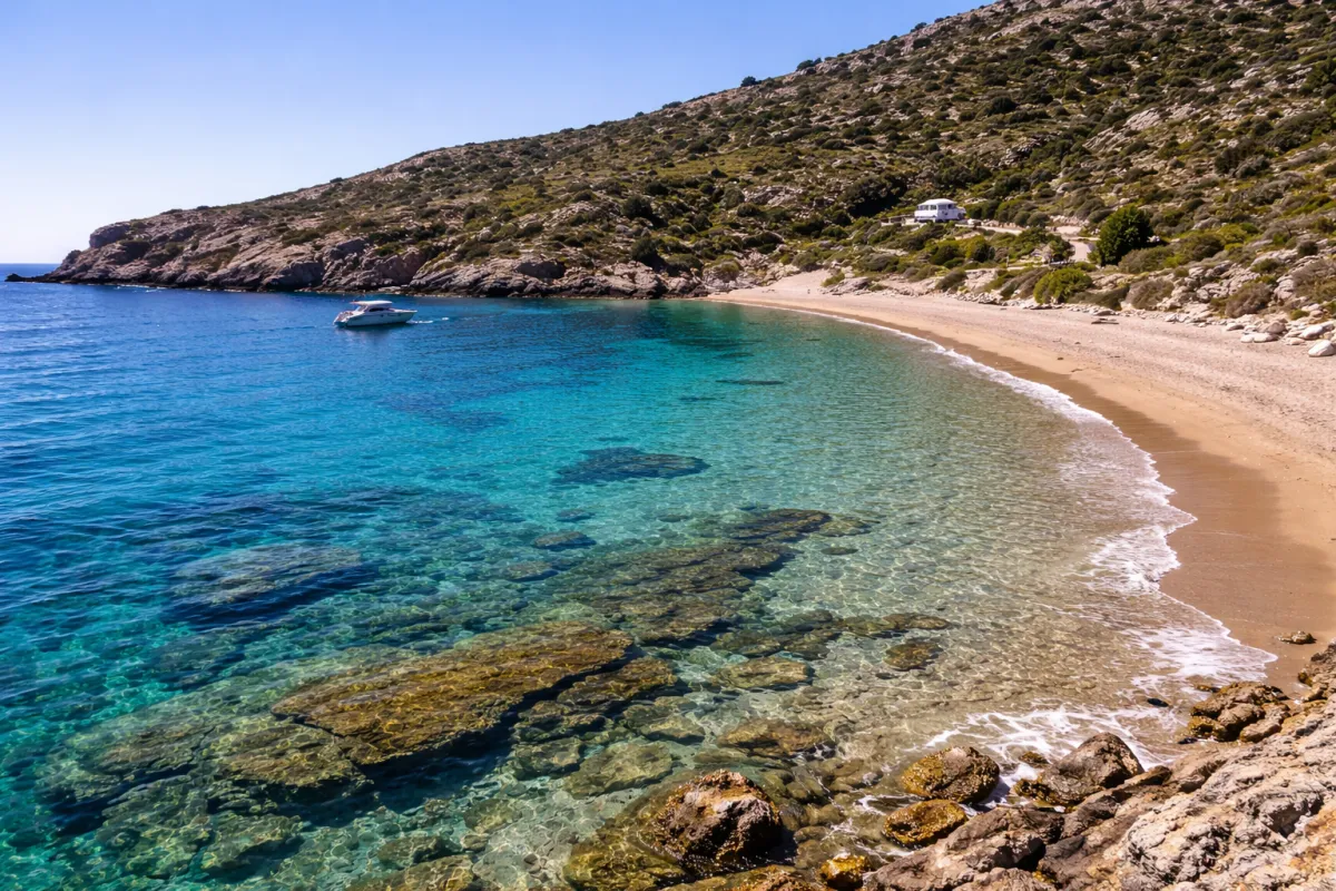 ZIGOUALA - Morning Glory Tour - Pikri Nero