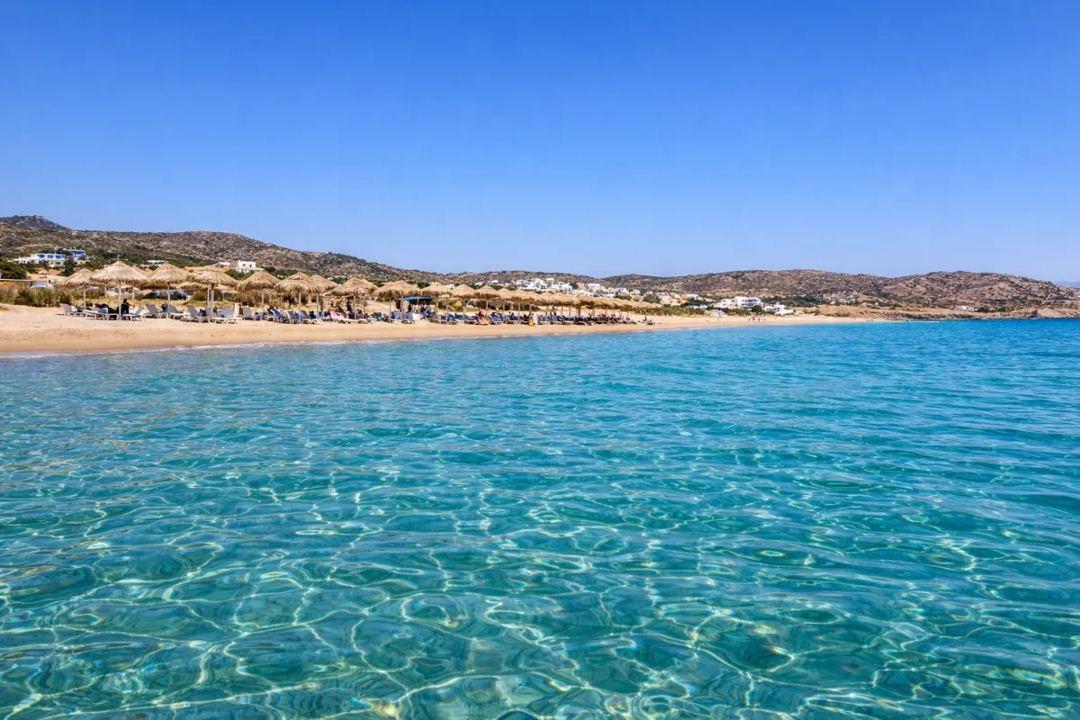 ZIGOUALA - Sunset Kiss Tour - Mangari